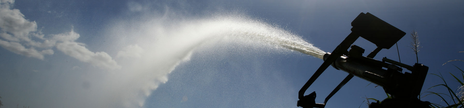 irrigation