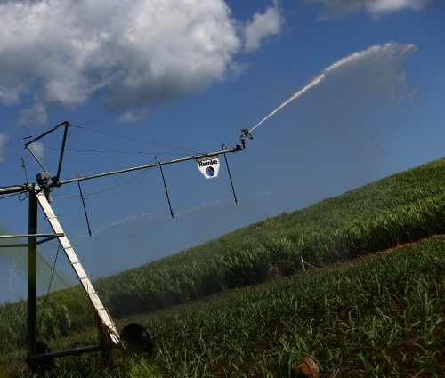 770HA CENTRE PIVOT IRRIGATION 1